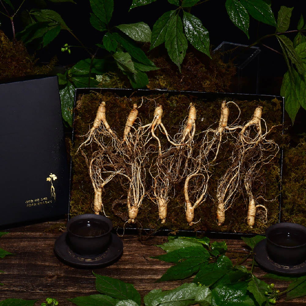 1639452650 thumbnail