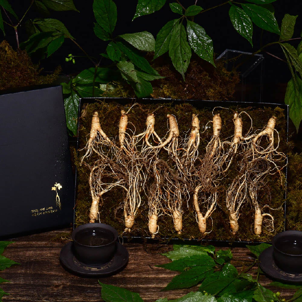 1639452651 thumbnail