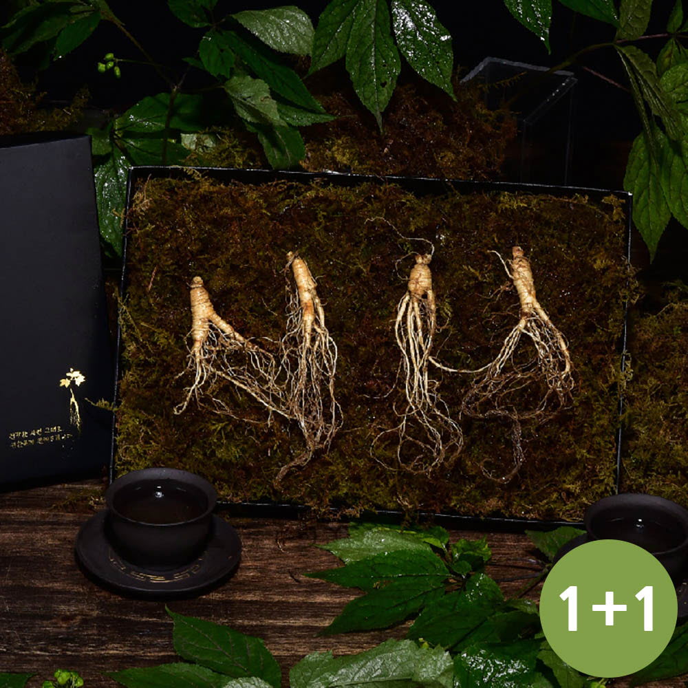 1639452652 thumbnail