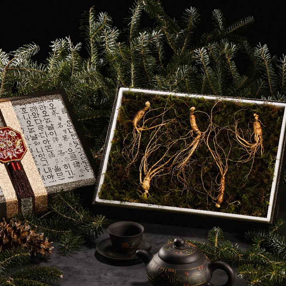 1639452653 thumbnail