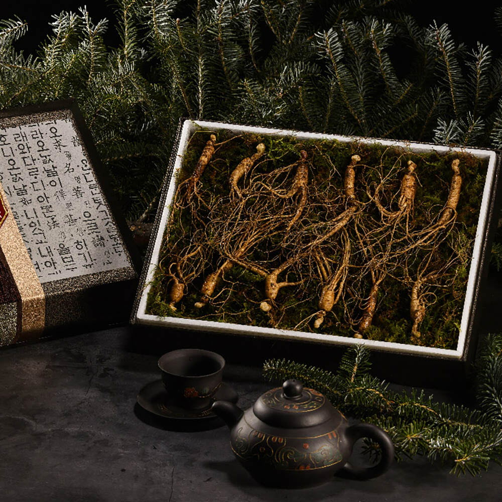 1639452655 thumbnail