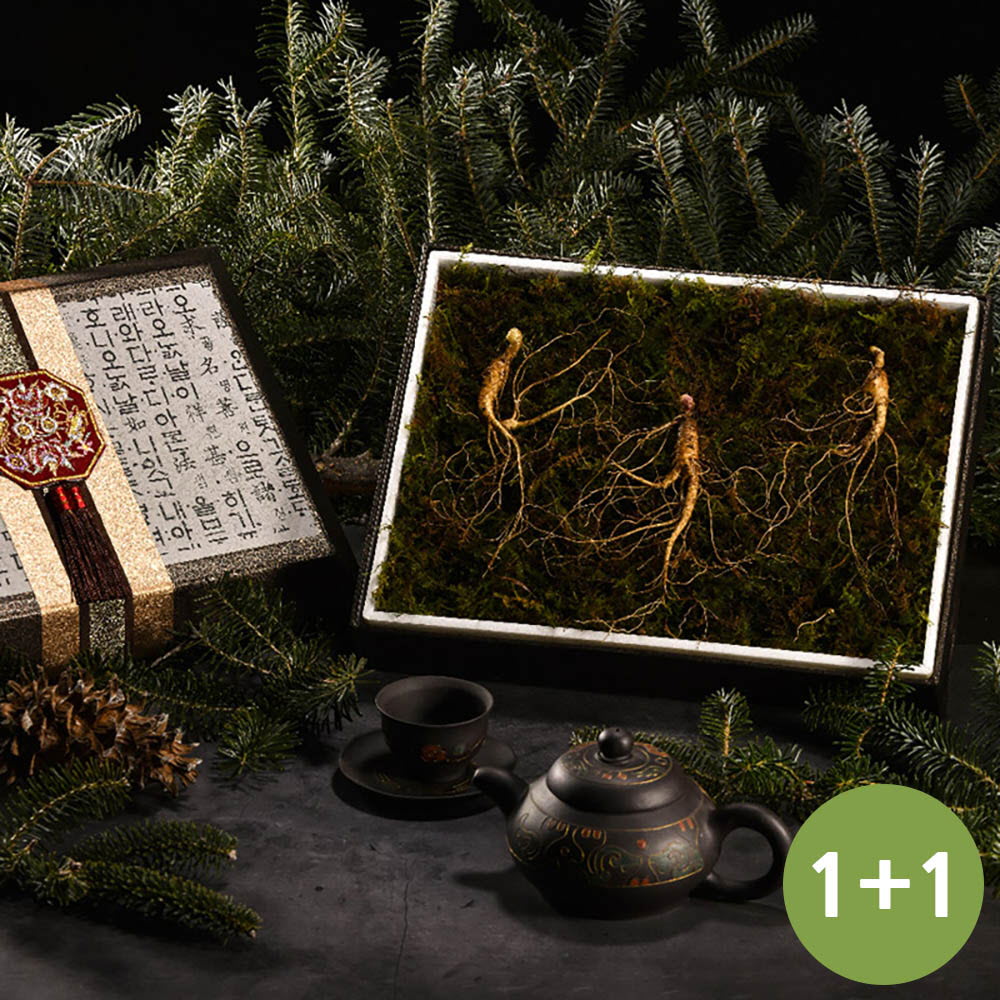 1639452656 thumbnail