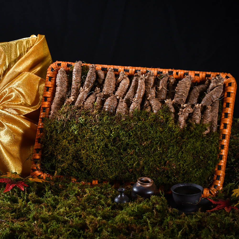 1639452661 thumbnail