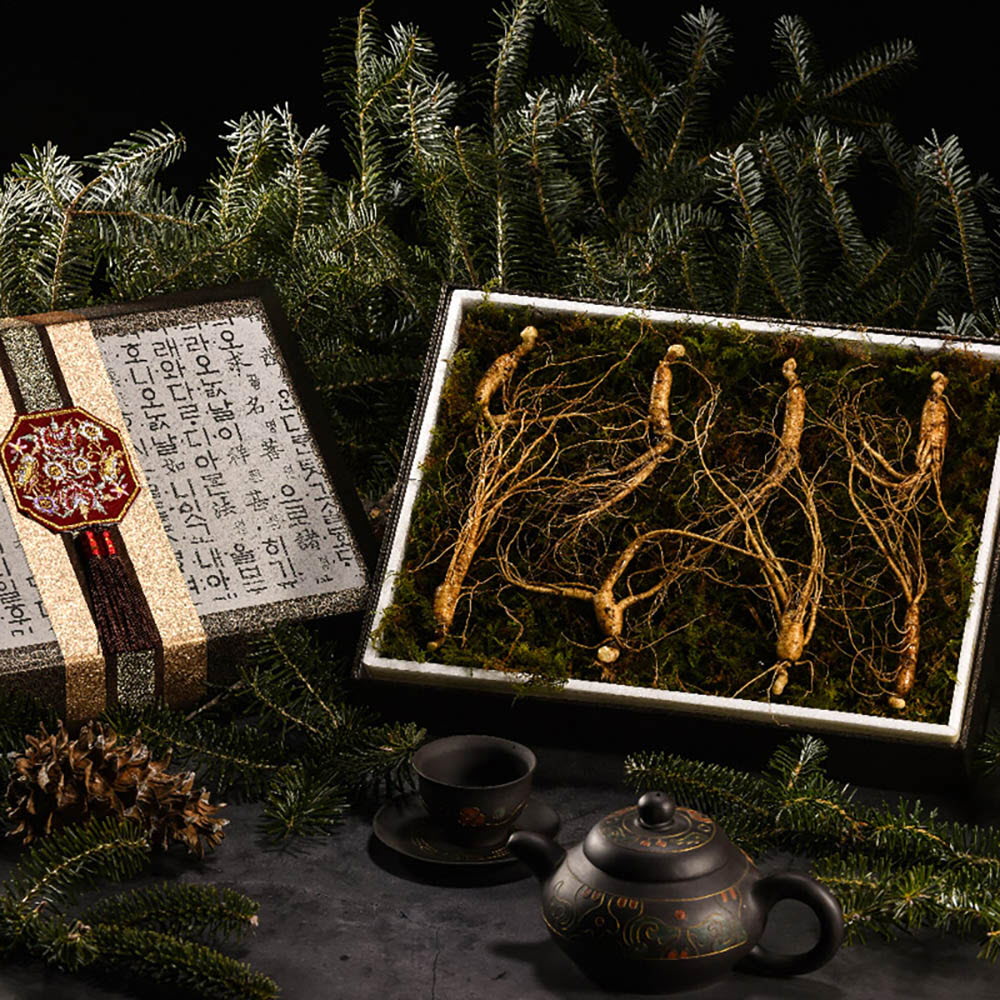 1639452664 thumbnail