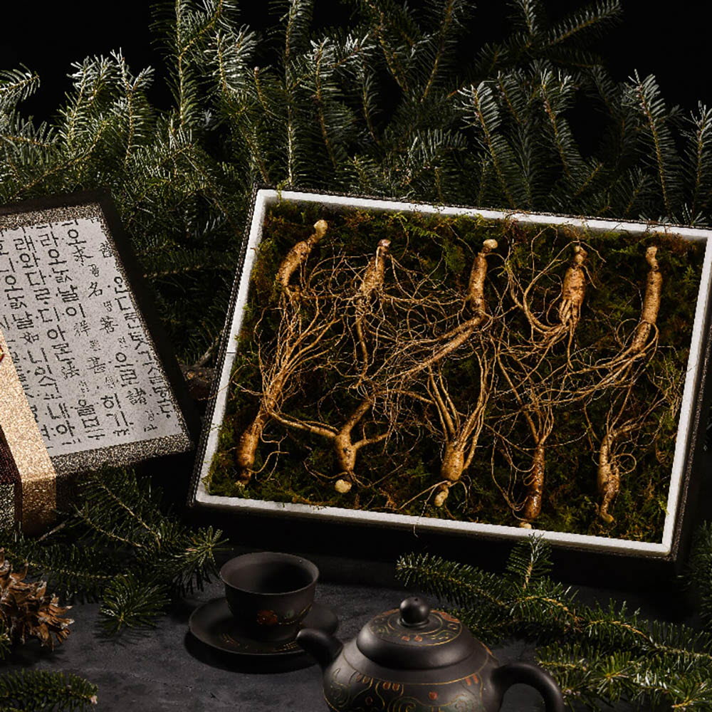 1639452665 thumbnail