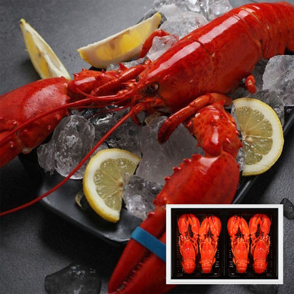 1639990867 thumbnail