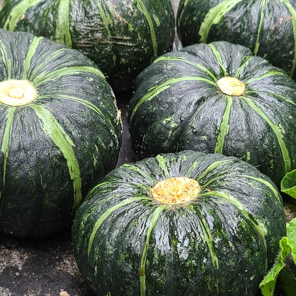 1640055485 thumbnail