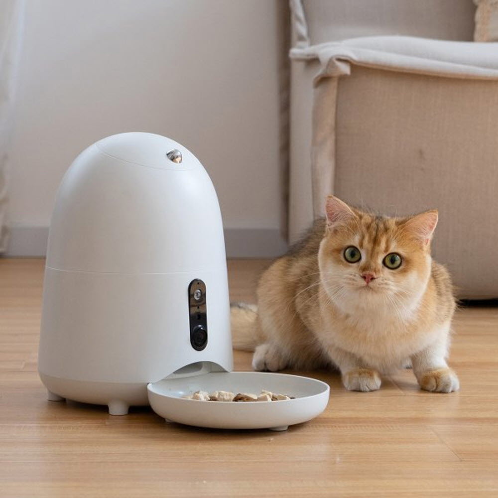 1640155745 thumbnail