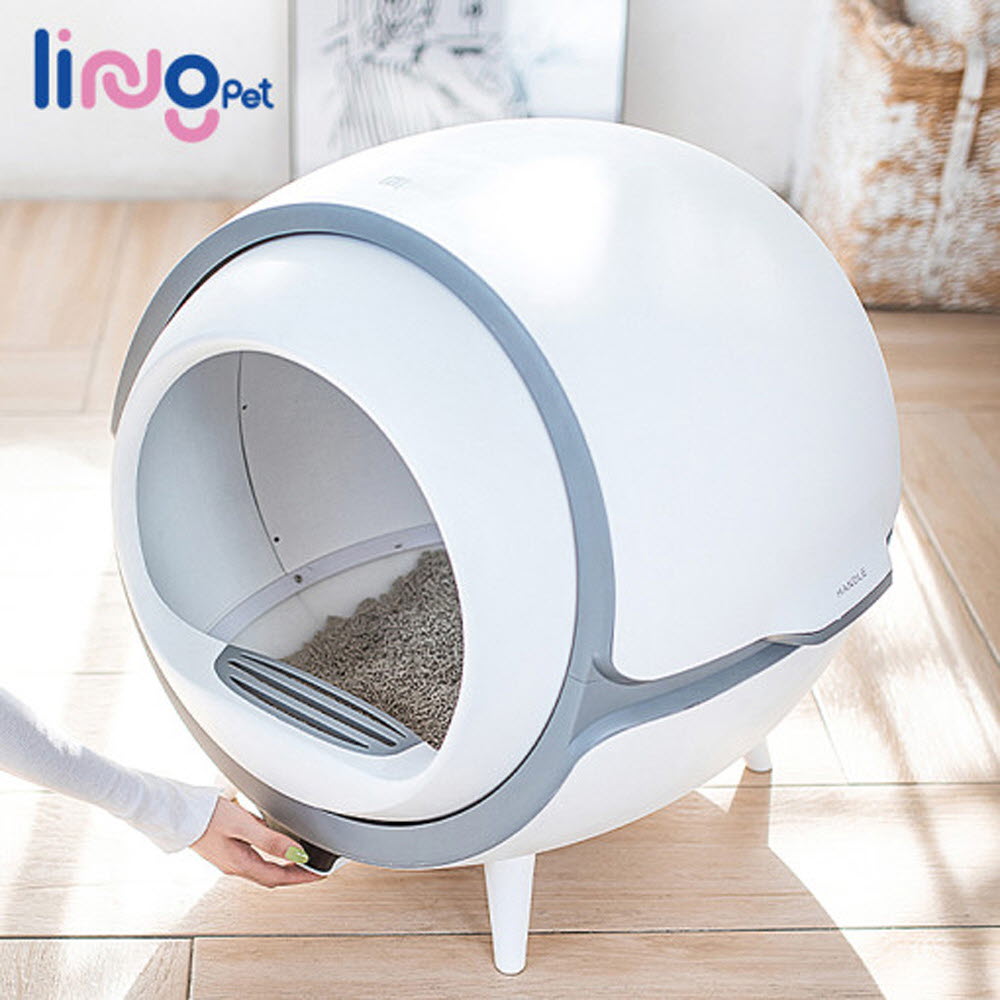 1640155746 thumbnail