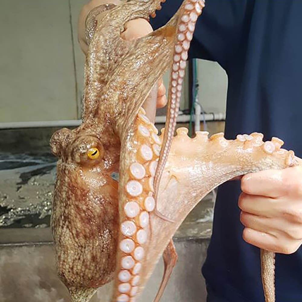 1640237601 thumbnail