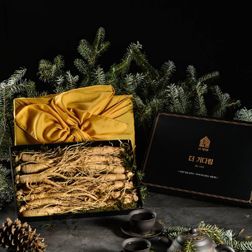 1640242155 thumbnail