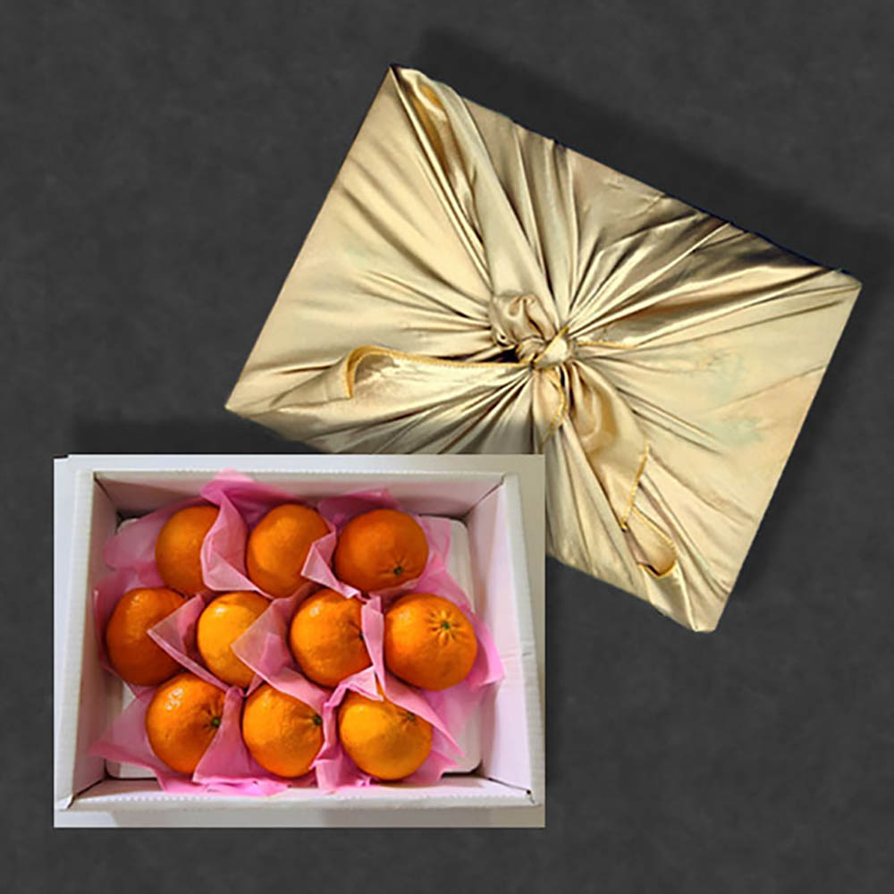 1640244841 thumbnail