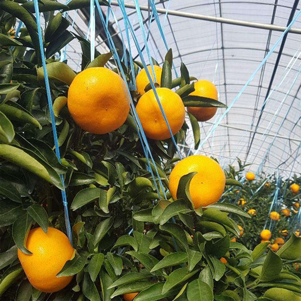 1640854330 thumbnail