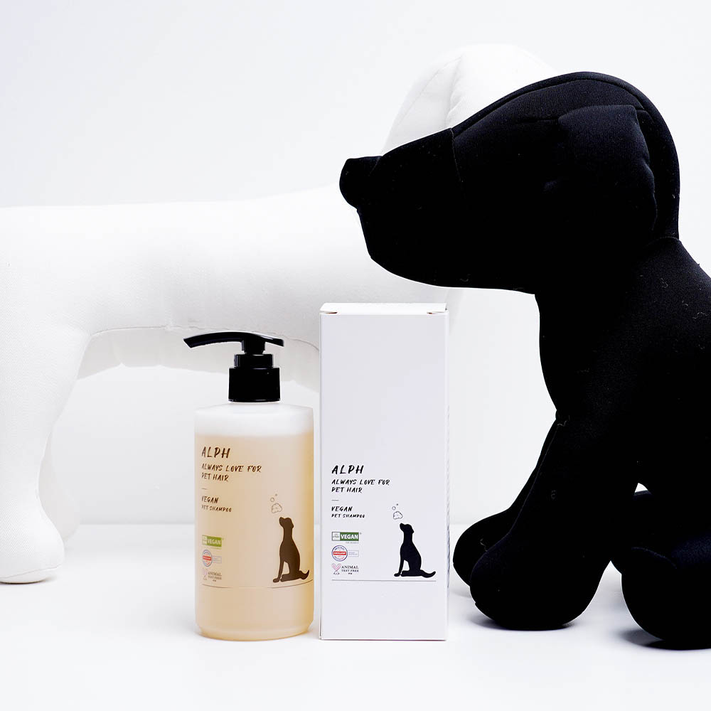 1642055303 thumbnail