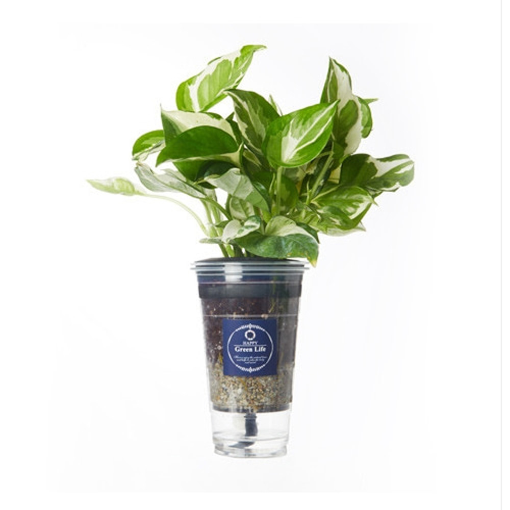 1642488605 thumbnail