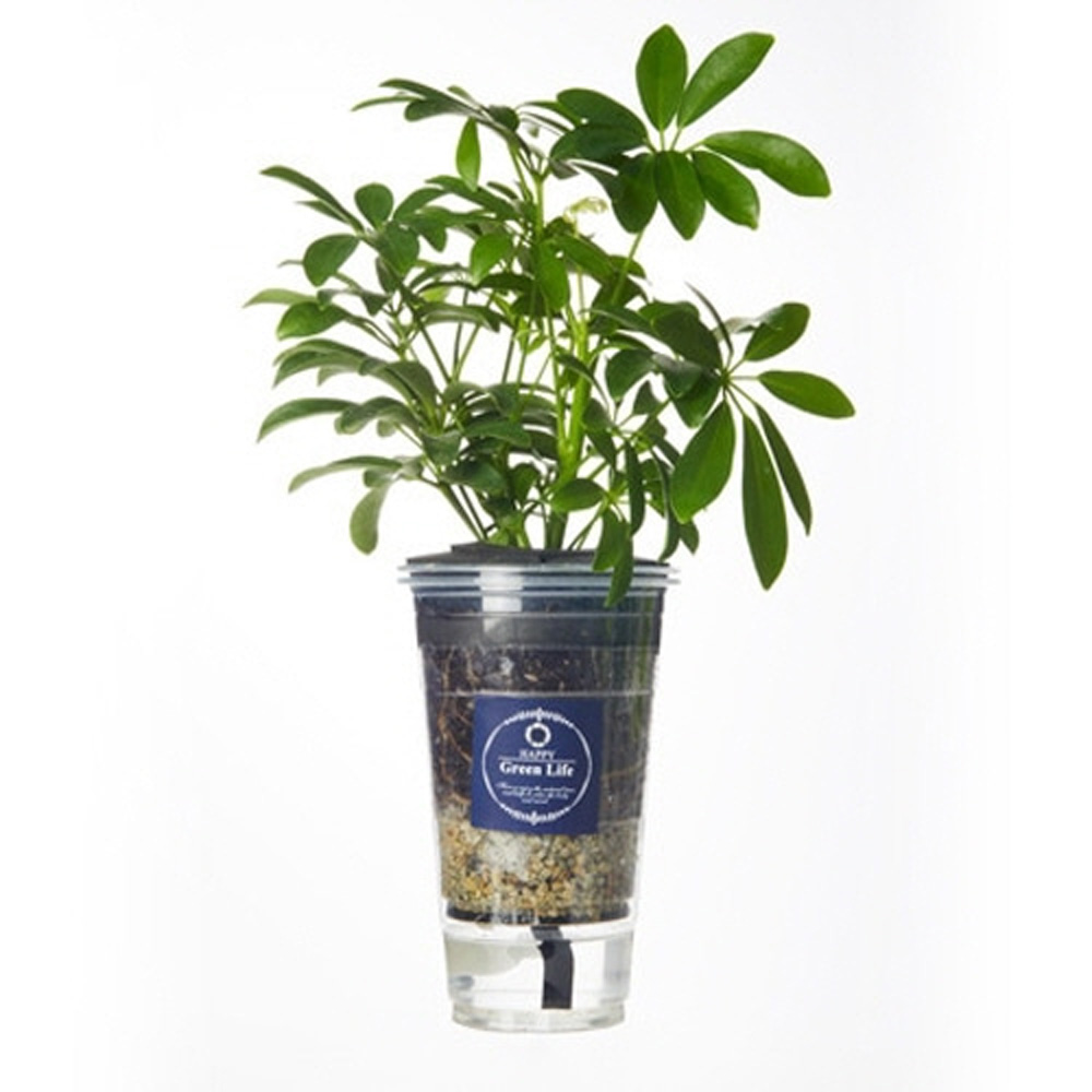 1642488607 thumbnail