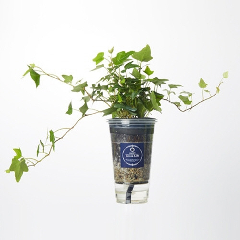 1642488608 thumbnail