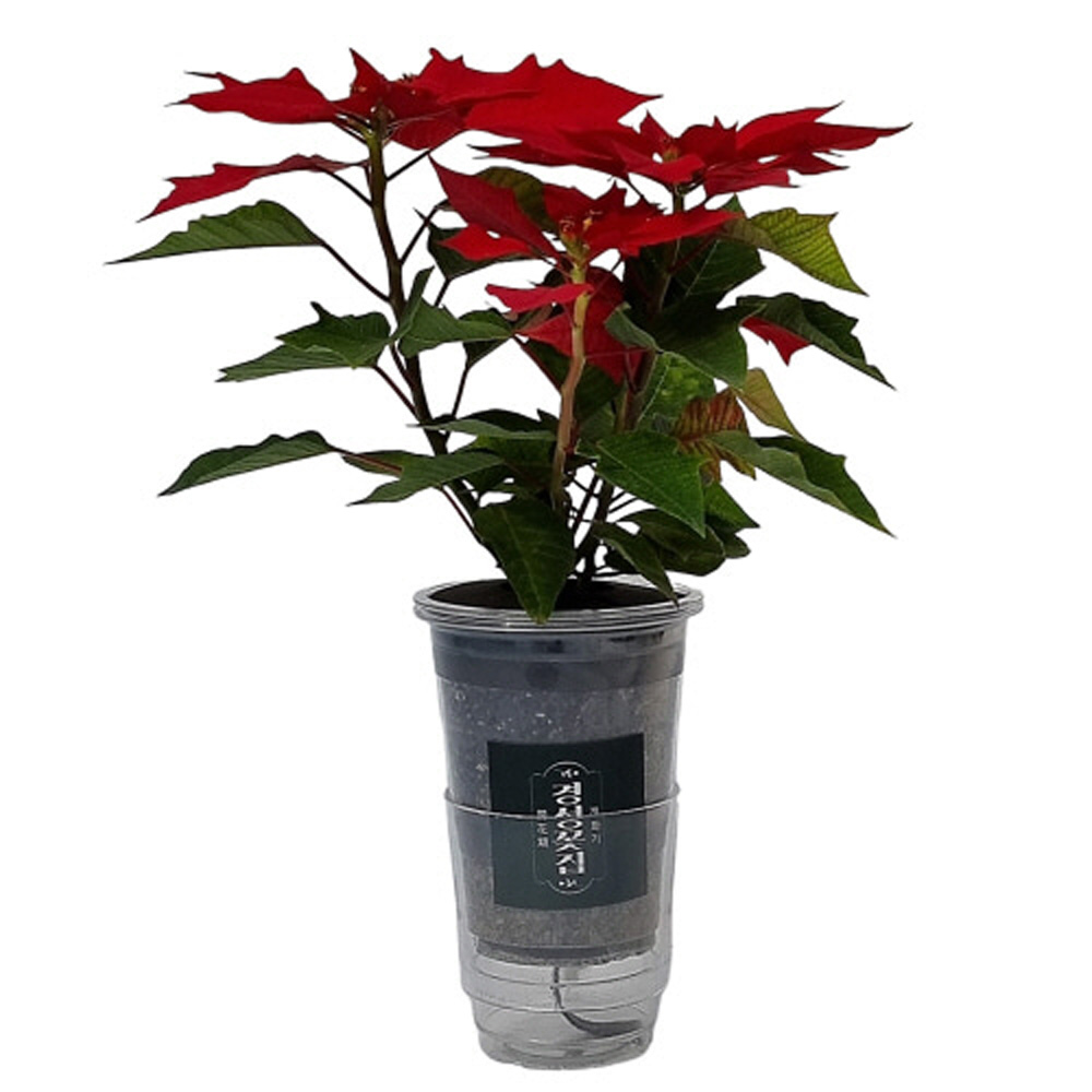 1642488610 thumbnail