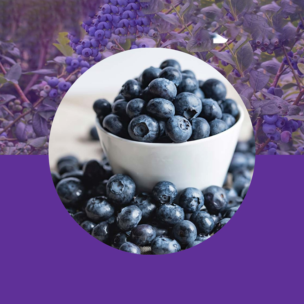 1642667447 thumbnail