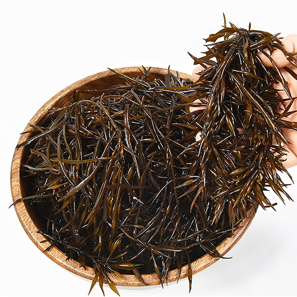 1642999552 thumbnail