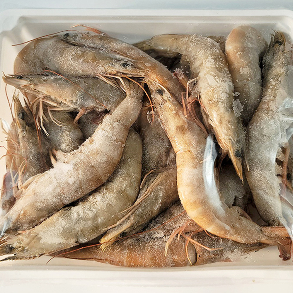 1642999556 thumbnail