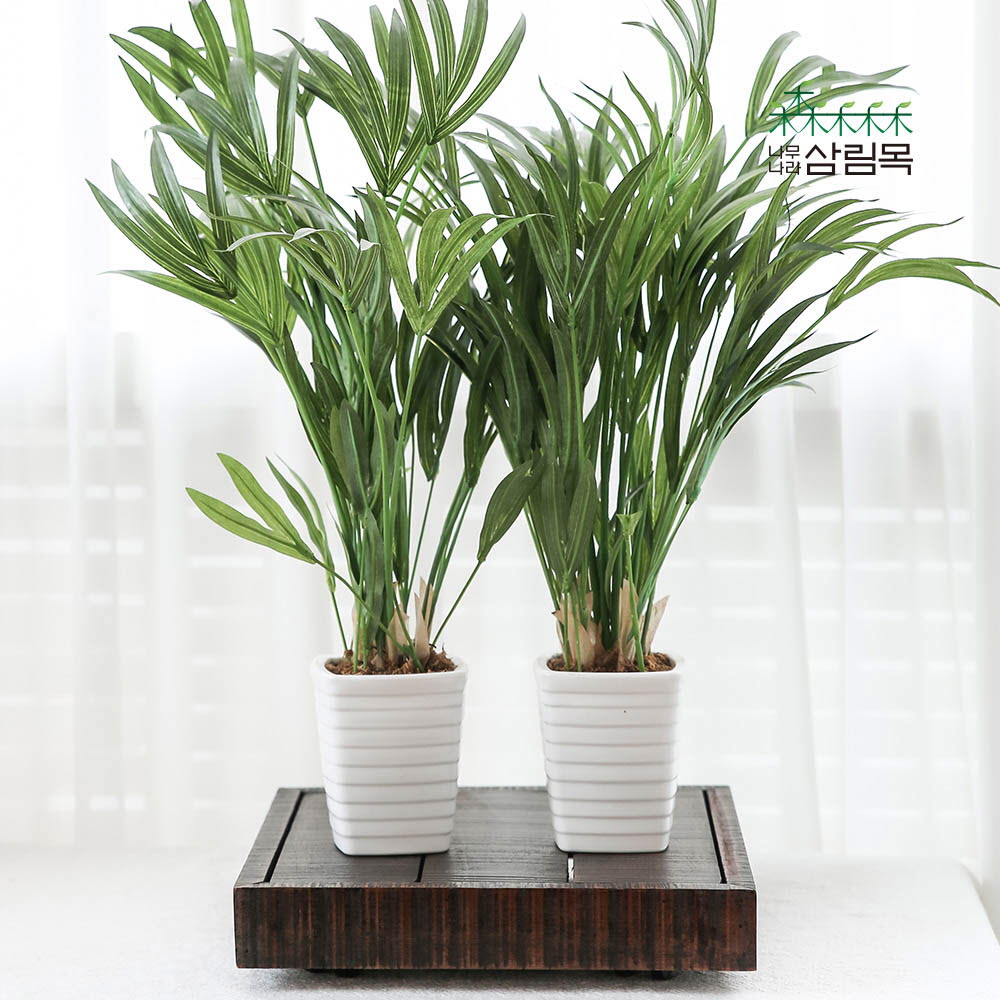 1643009480 thumbnail