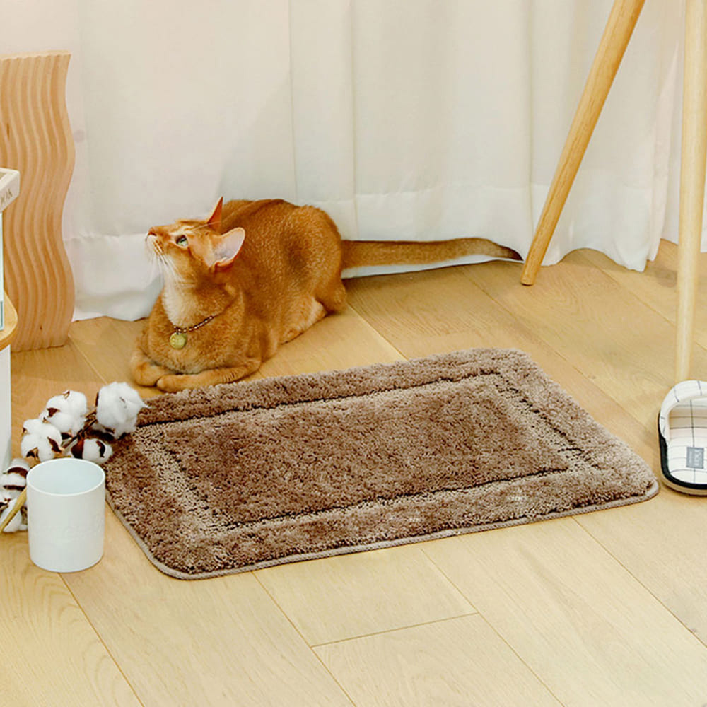 1643955171 thumbnail