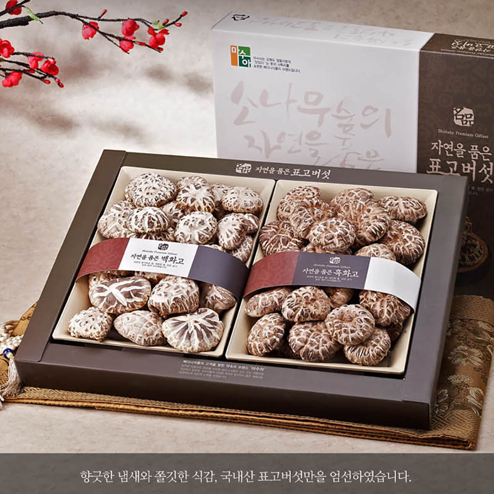 1644222098 thumbnail