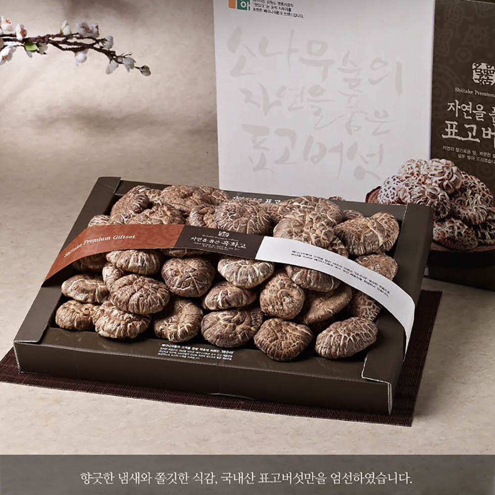 1644222105 thumbnail