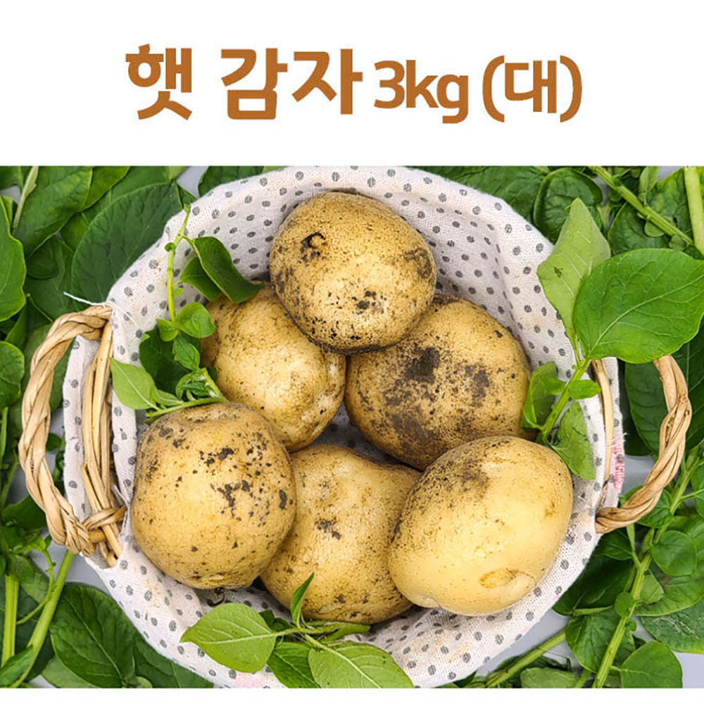 1644295496 thumbnail