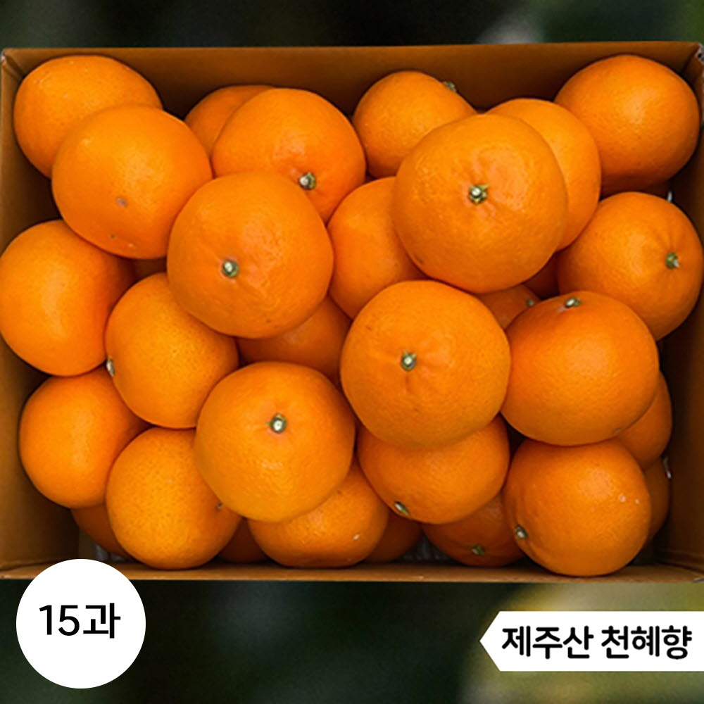 1644382879 thumbnail