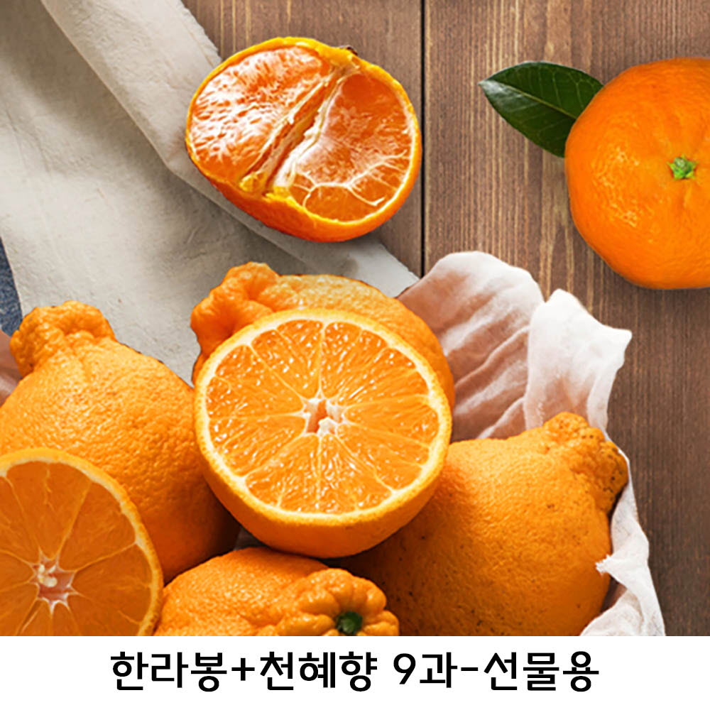 1644382880 thumbnail