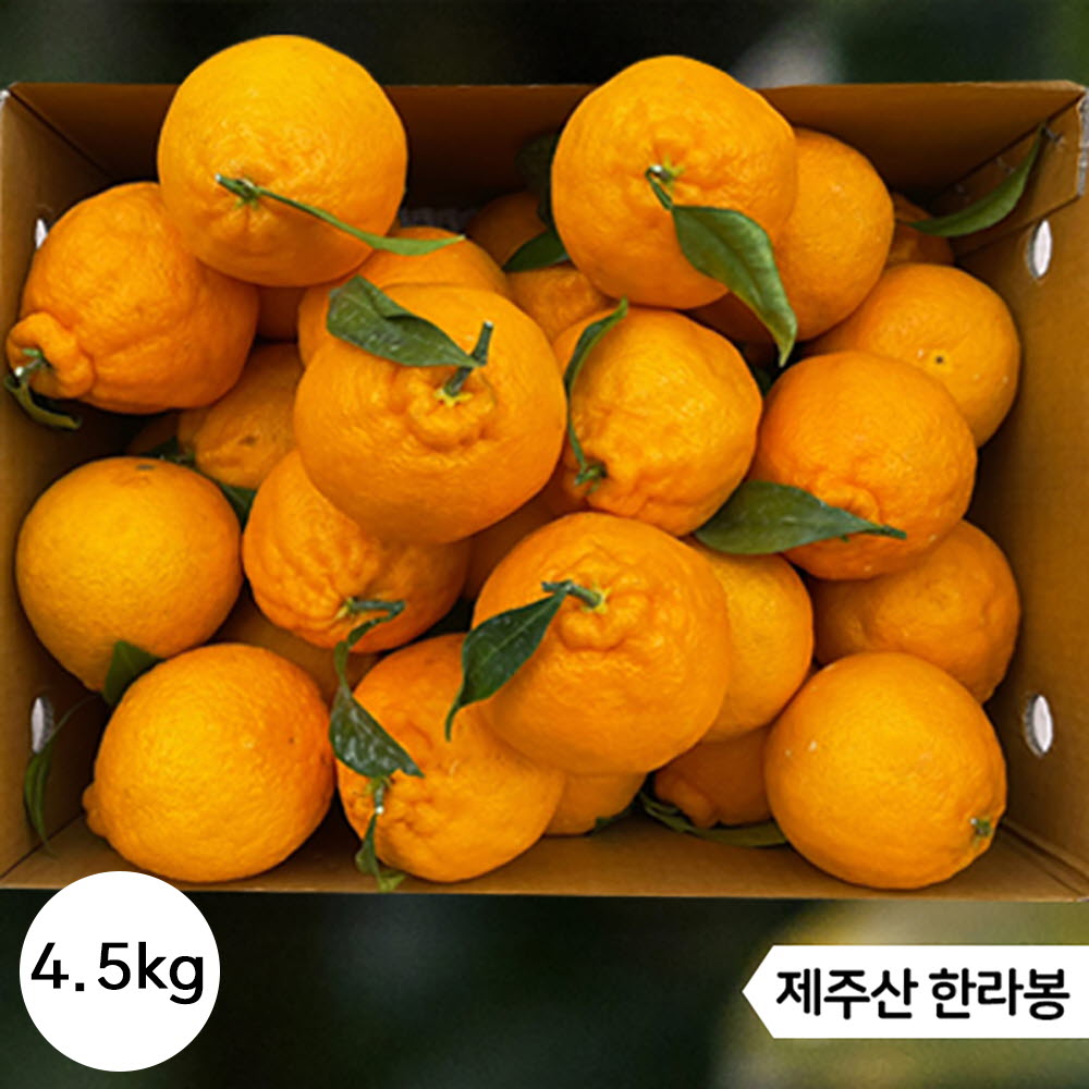 1644382882 thumbnail