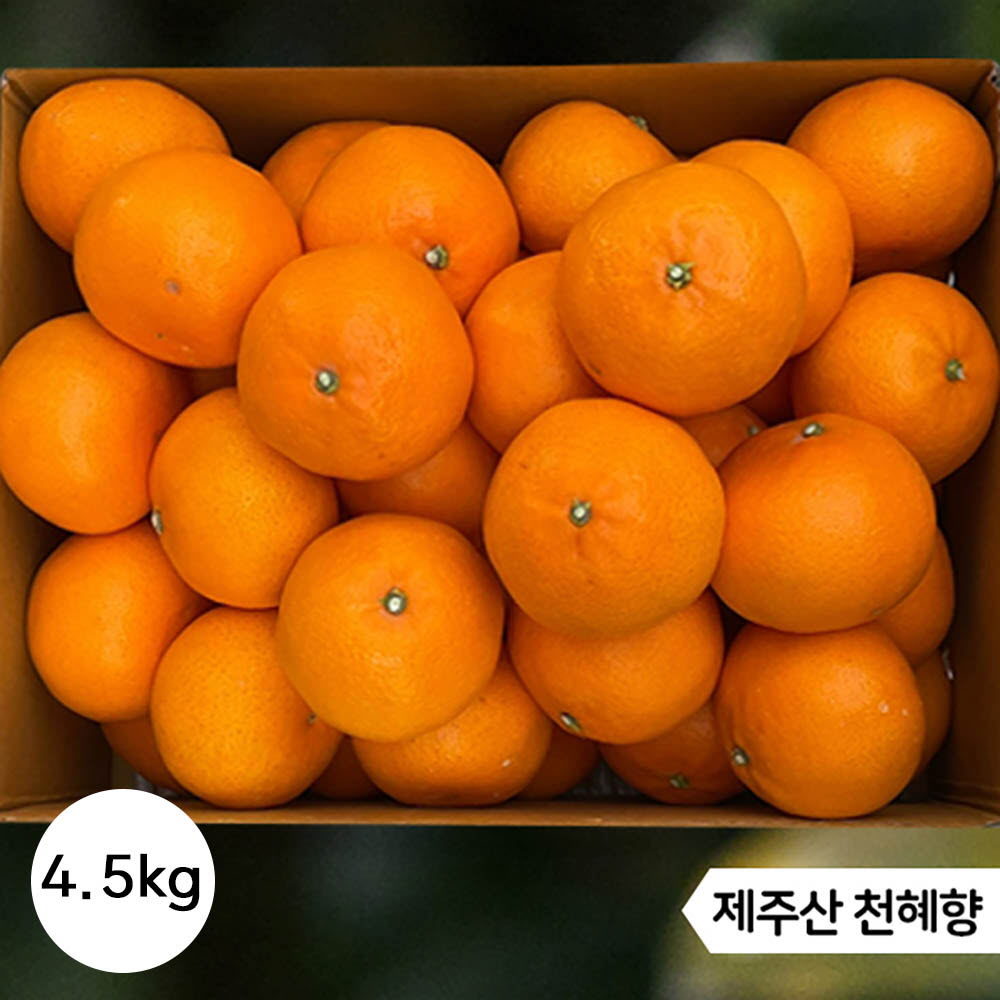 1644382883 thumbnail