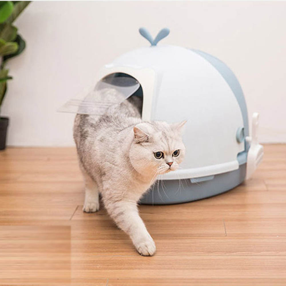 1644388798 thumbnail