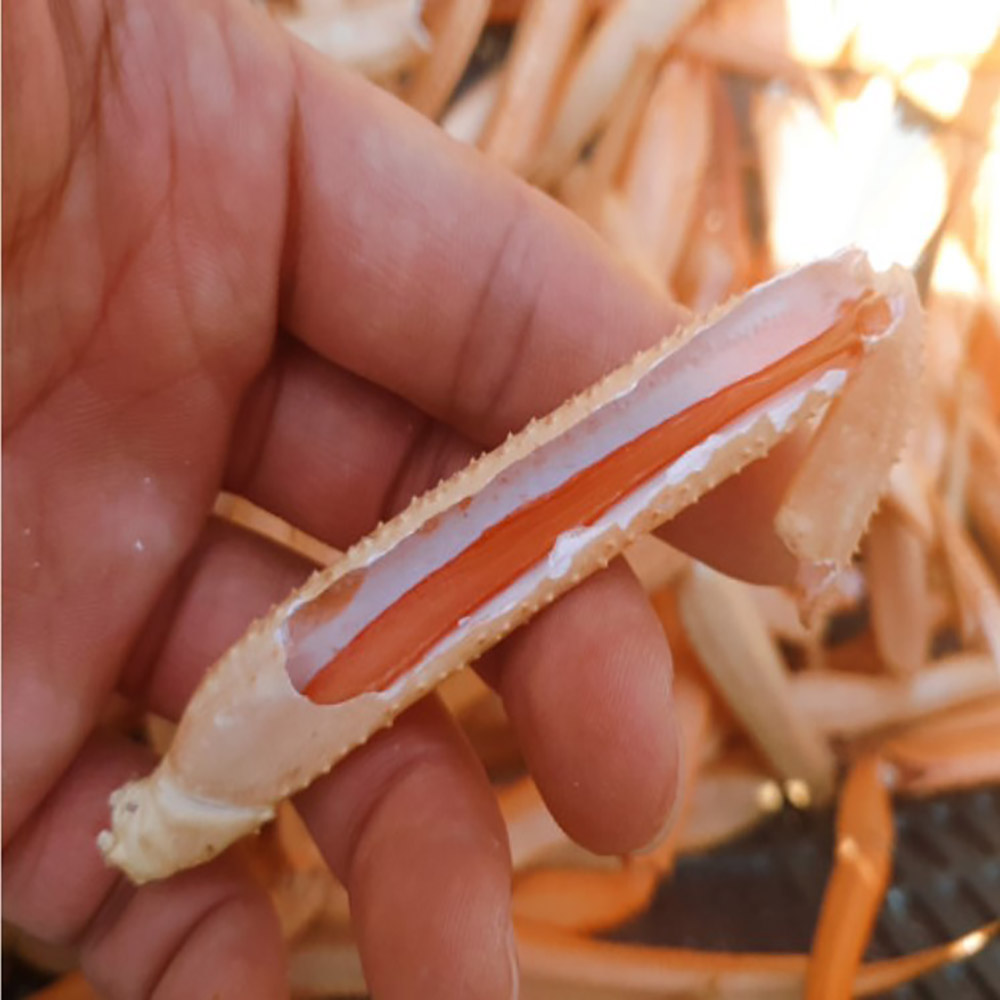 1645518391 thumbnail