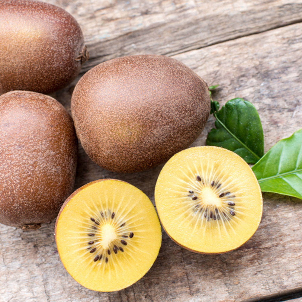 1646191492 thumbnail