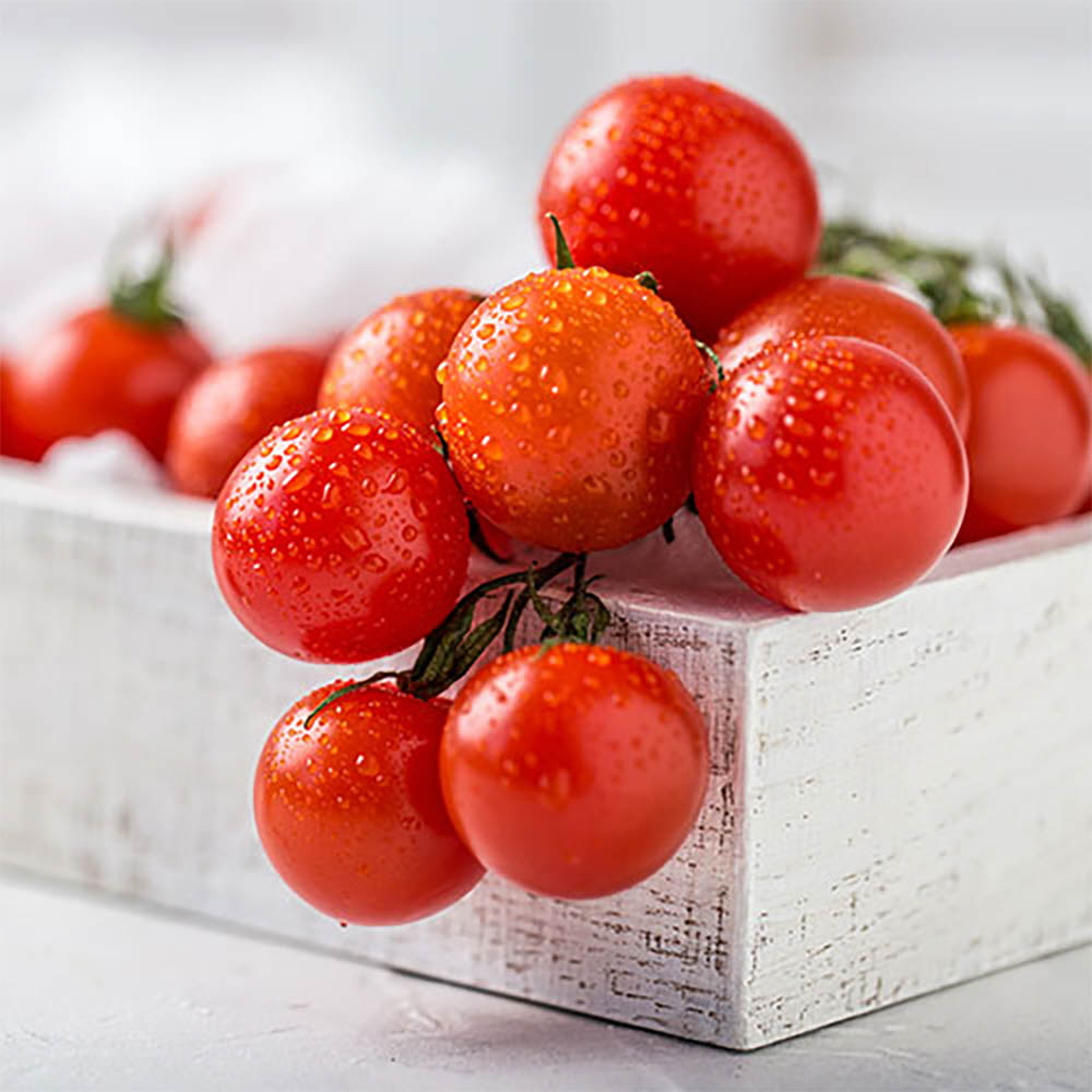 1646191493 thumbnail