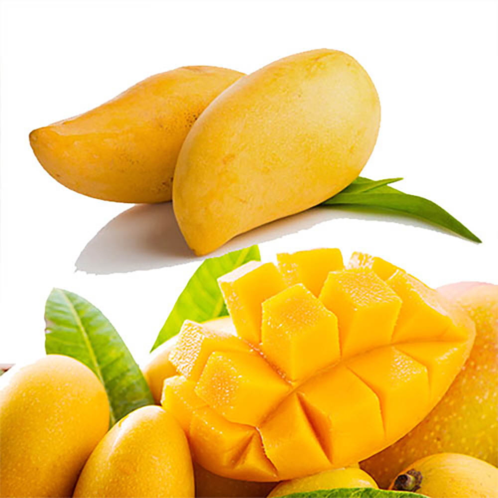 1646191496 thumbnail