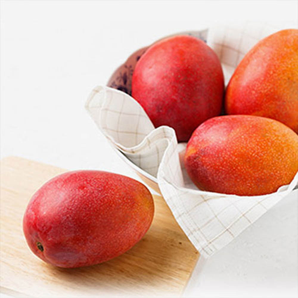 1646191498 thumbnail