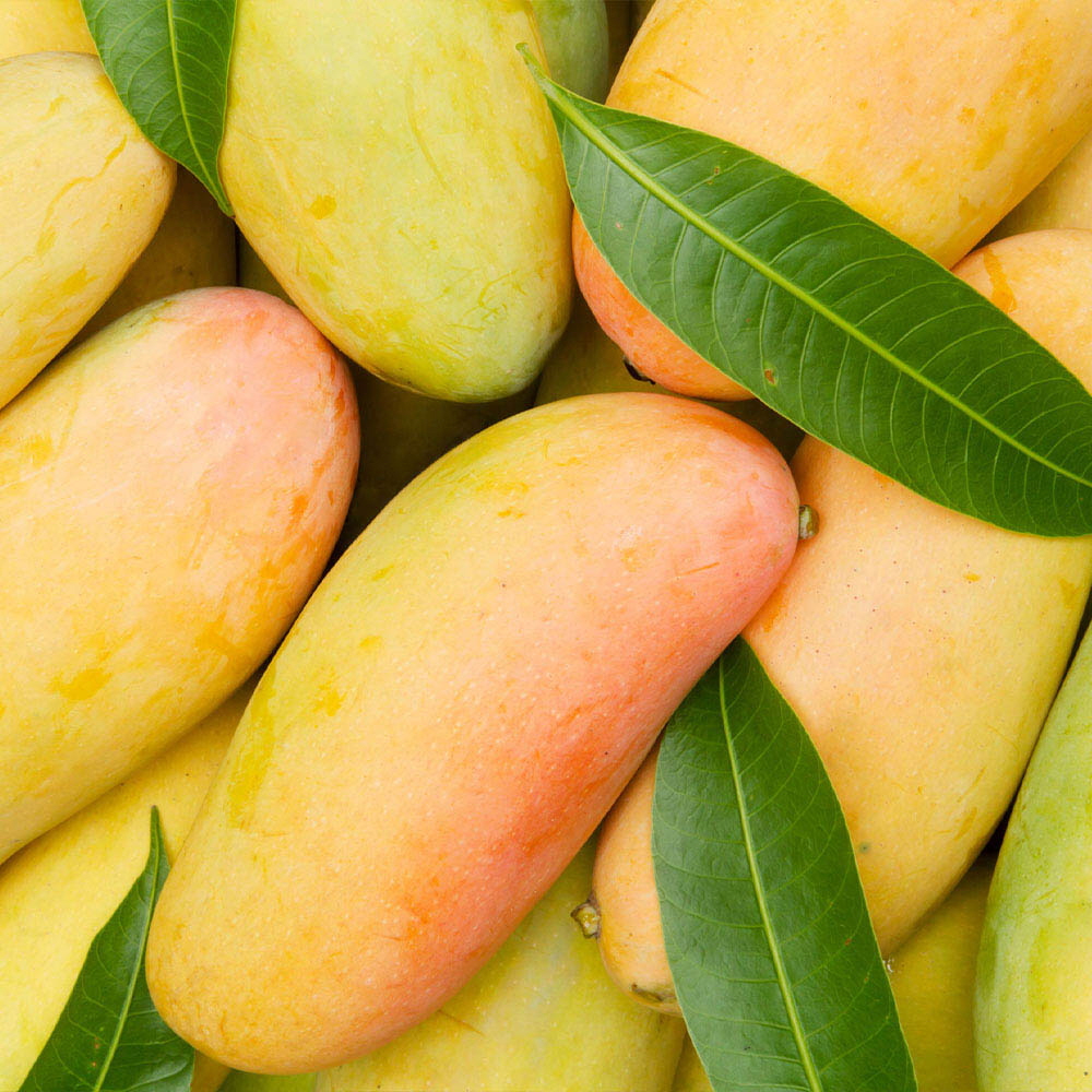 1646191501 thumbnail