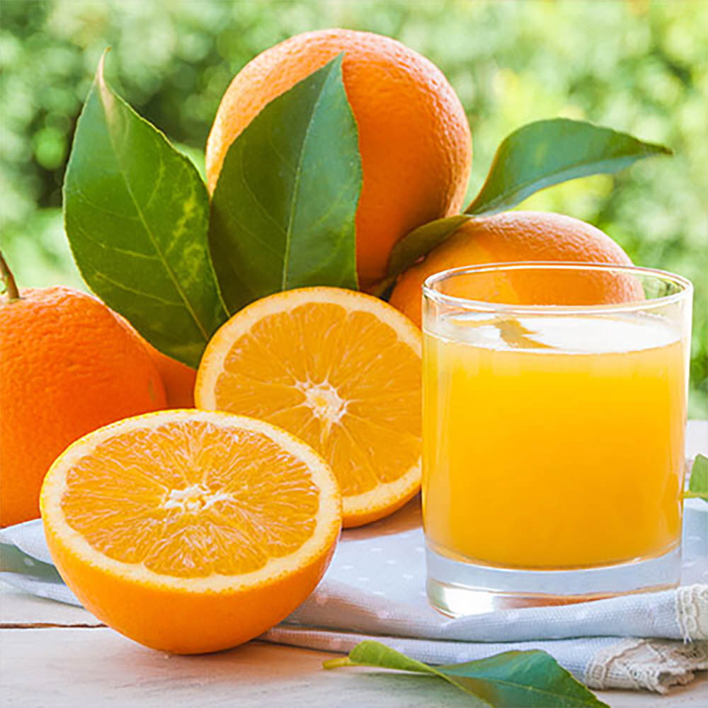 1646191504 thumbnail