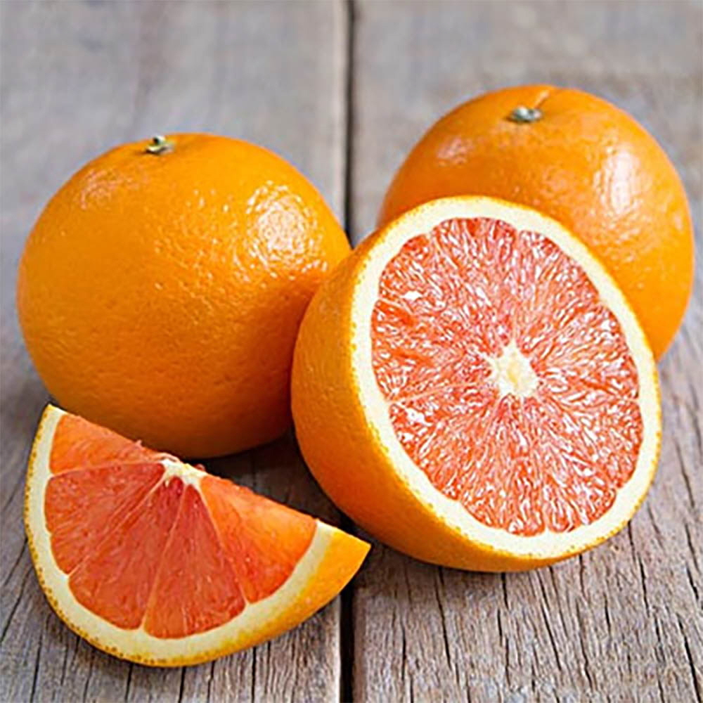 1646191506 thumbnail