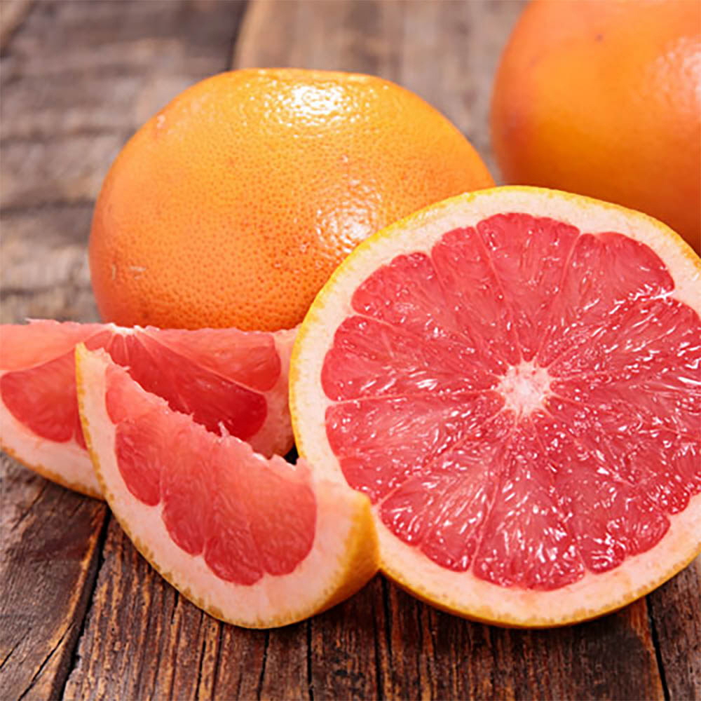 1646191508 thumbnail