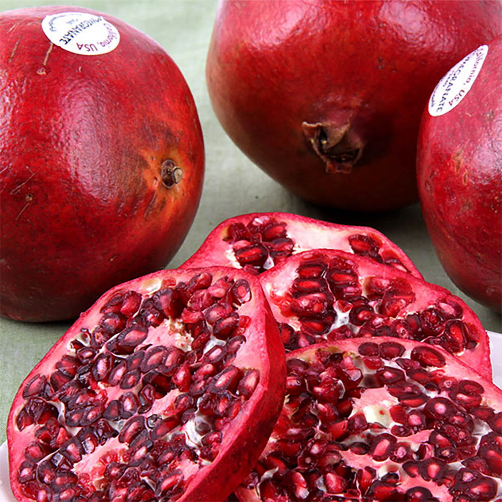 1646191512 thumbnail