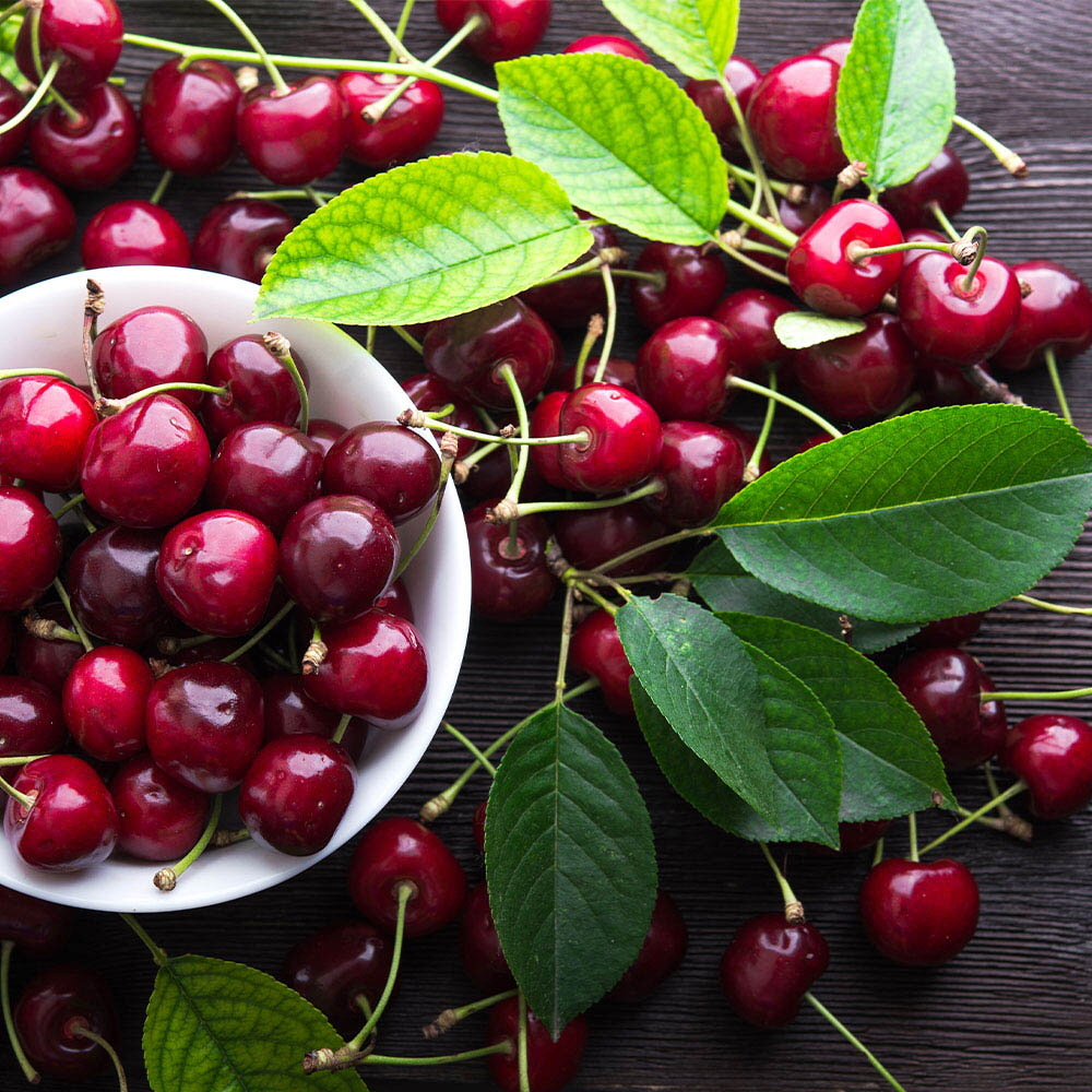 1646191513 thumbnail