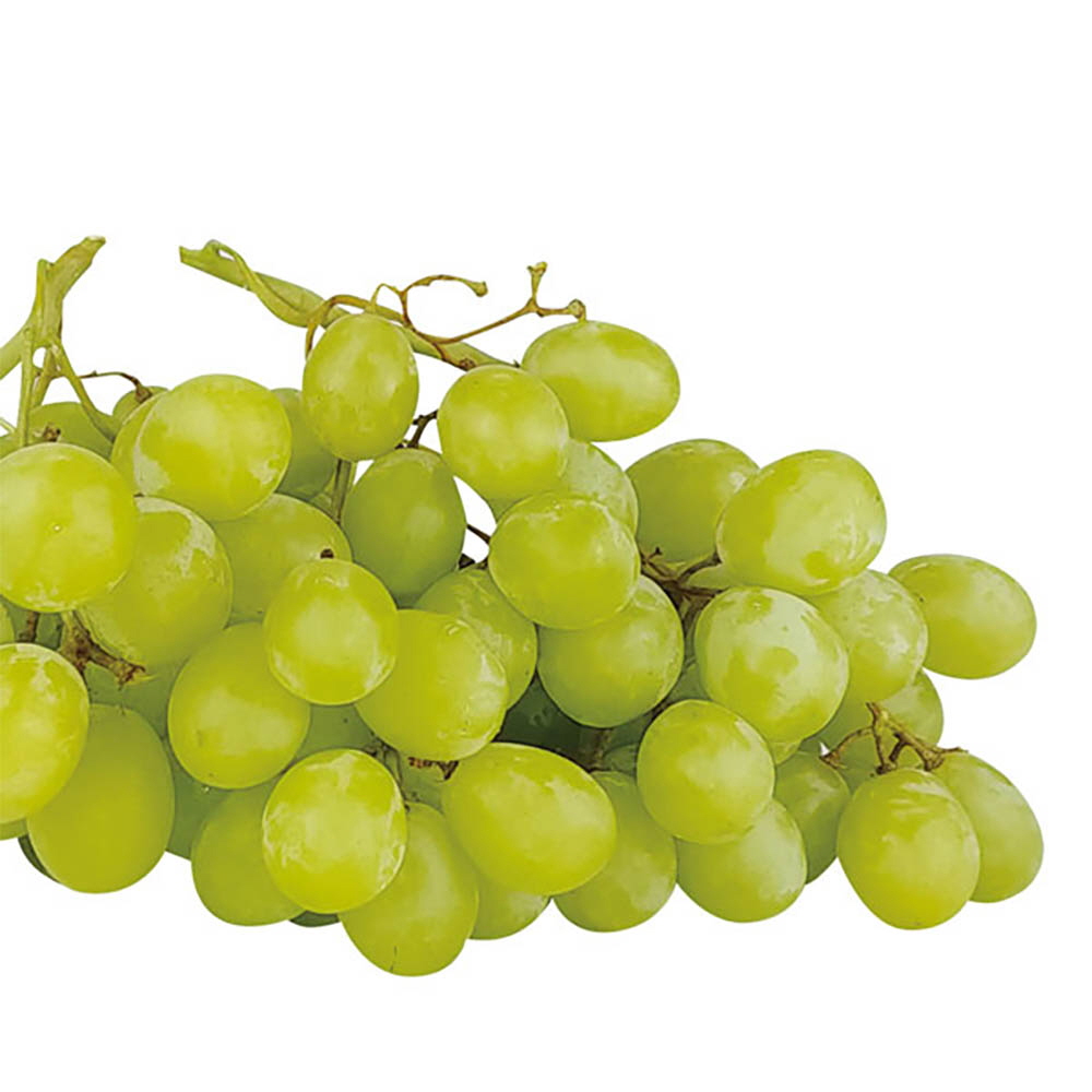 1646191516 thumbnail