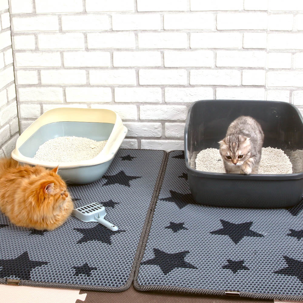 1646277723 thumbnail