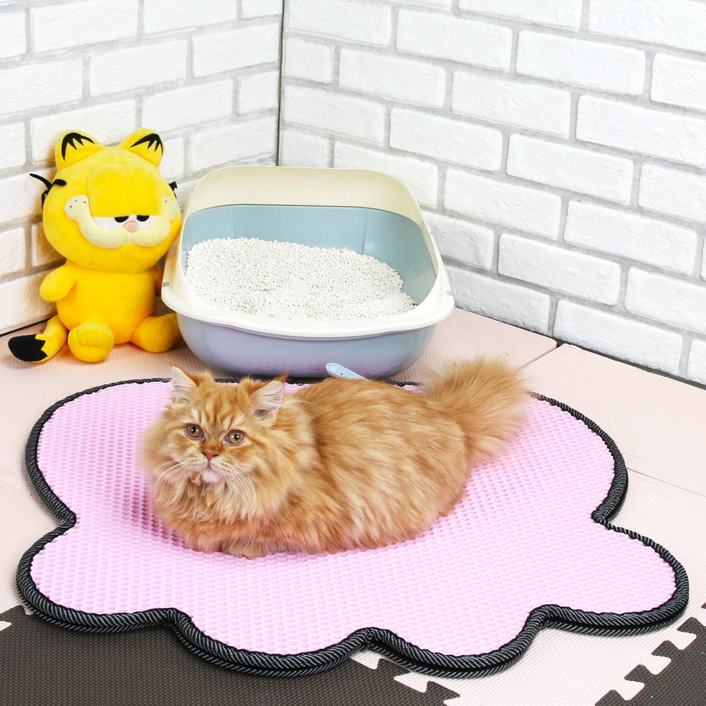 1646277725 thumbnail