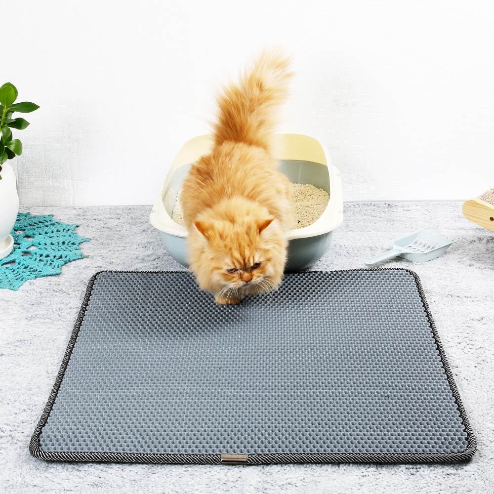 1646277726 thumbnail